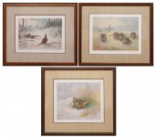 THREE AVIAN OFFSET LITHOGRAPHS