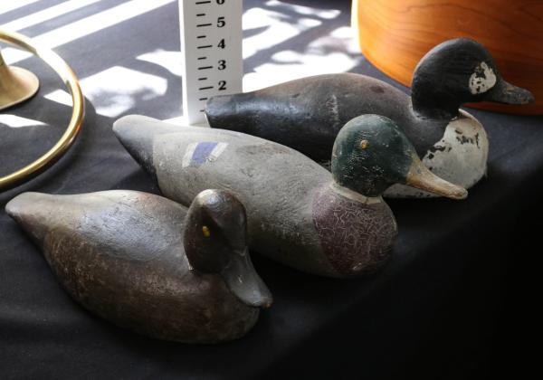 THREE BETTER WOOD DUCK
