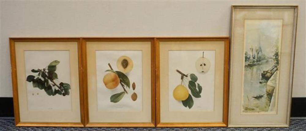 THREE BOTANICAL PRINTS AND A