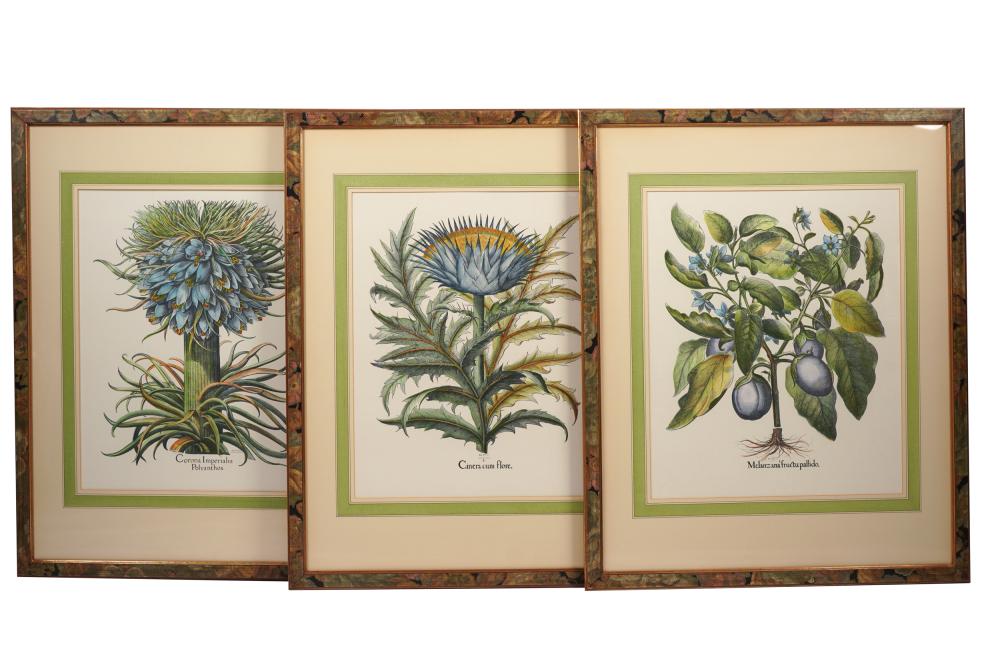 THREE BOTANICAL PRINTSeach with