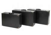 THREE BOTTEGA VENETA HARDCASE