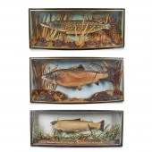 THREE BOWFRONT CASED FISH DIOR