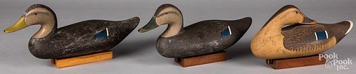 THREE BRYAN BODT BLACK DUCK