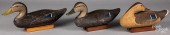 THREE BRYAN BODT BLACK DUCK DE