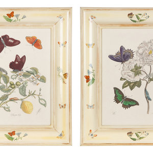 Three Butterfly and Botanical
