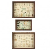 THREE CHARLESTON ARTIFACT BOXE
