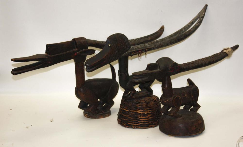 THREE CHI WARA MALE ANTELOPE