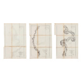 THREE COASTAL SURVEY CHARTS OF