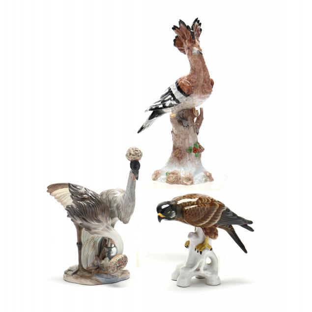 THREE CONTINENTAL BIRDS An Emu
