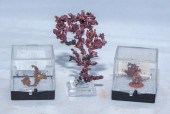 THREE CRYSTALLINE COPPER SPECI