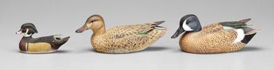 Three decoys: blue wing teal