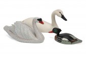 THREE DECOYS, MUTE & TRUMPETER