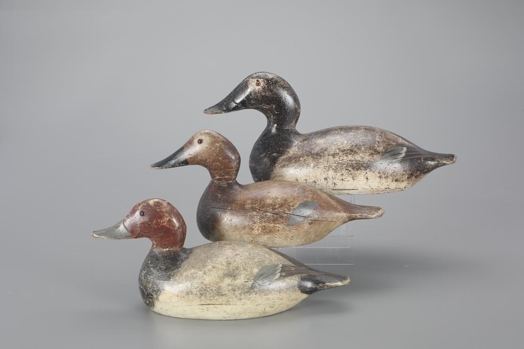 THREE DIVER DECOYSEvans Duck