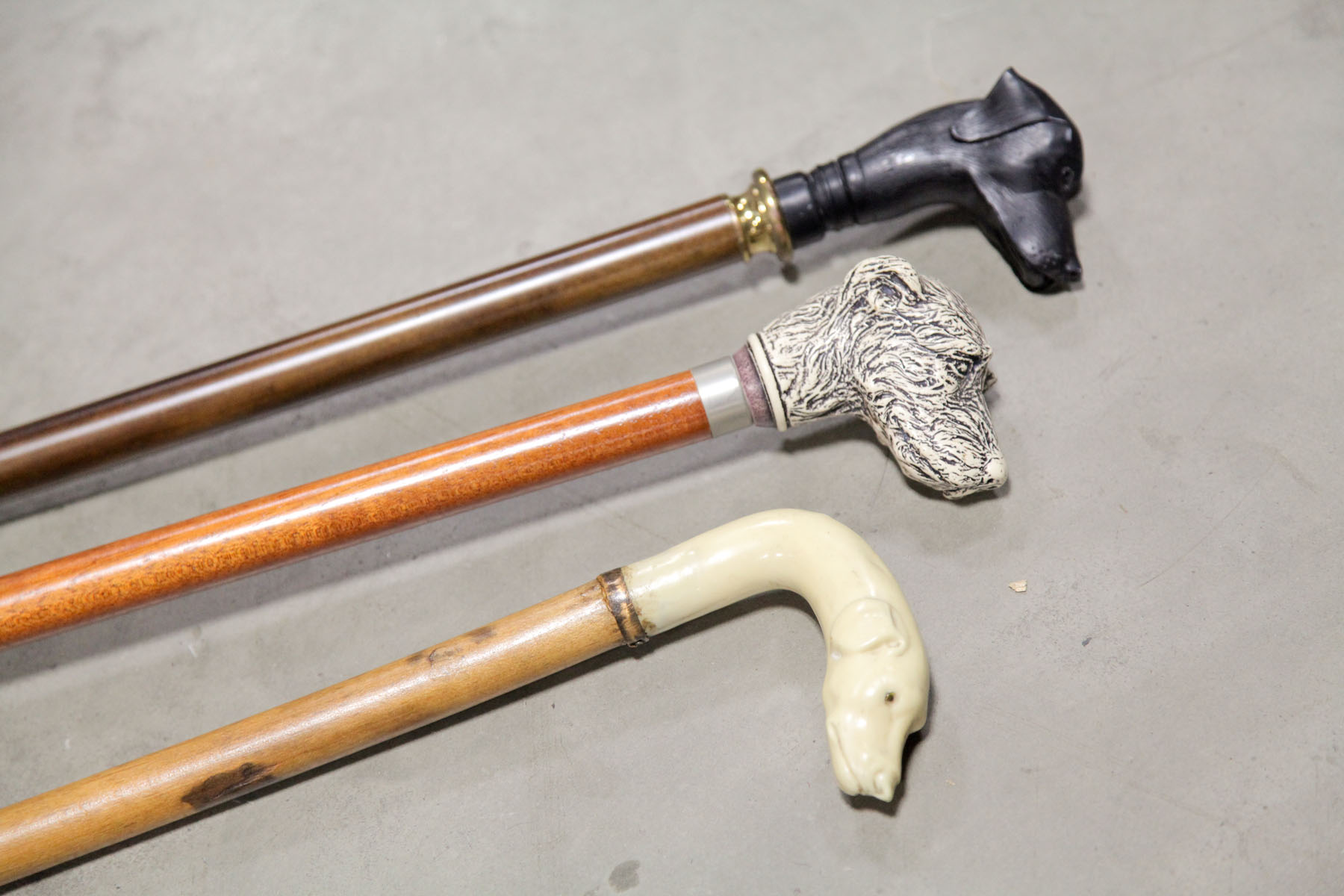 THREE DOG HEADED CANES. 