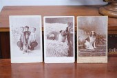 THREE DOG PORTRAIT CABINET CAR
