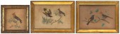 THREE DRAWINGS OF SONGBIRDS 19