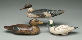 Three duck decoys: one probabl