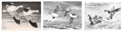 Three duck stamp prints, 1946-1948: