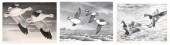 Three duck stamp prints, 1946-