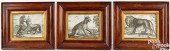 THREE EARLY ANIMAL ENGRAVINGST