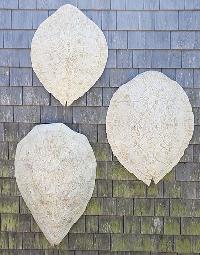 THREE ED KOEHLER DESIGNS FAUX SEA