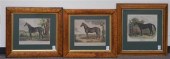 THREE ENGLISH COLORED EQUINE E