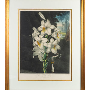Three English Mezzotints 19TH
