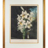 Three English Mezzotints
19TH