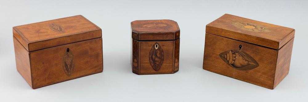 THREE ENGLISH TEA CADDIES 19TH