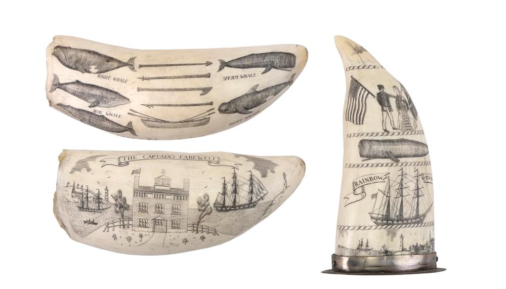 * THREE ENGRAVED WHALE'S TEETH 20TH
