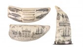 * THREE ENGRAVED WHALE'S TEETH
