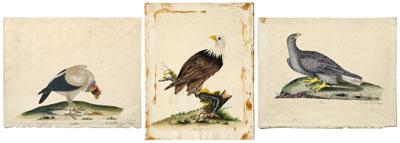 Three engravings after William