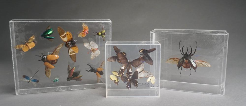 THREE ENTOMOLOGY DISPLAYS IN