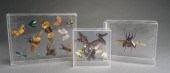 THREE ENTOMOLOGY DISPLAYS IN A