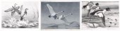 Three Federal duck stamp print
