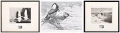Three Federal duck stamp print