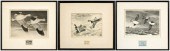 Three Federal duck stamp print