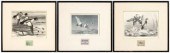 Three Federal duck stamp print