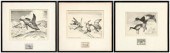 Three Federal duck stamp print