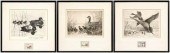 Three Federal duck stamp print