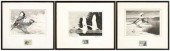 Three Federal duck stamp print