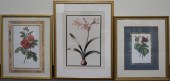 THREE FLORAL COLOR ENGRAVINGST