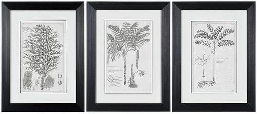 THREE FRAMED BOTANICAL