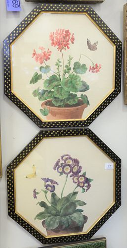 THREE FRAMED BOTANICAL WATERCOLORS,