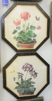 THREE FRAMED BOTANICAL WATERCO