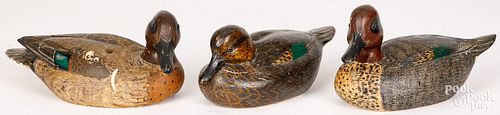 THREE GREEN WING TEAL DUCK