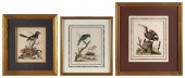 THREE HAND-COLORED ENGRAVINGS