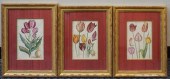 THREE HAND-COLORED ENGRAVINGS
