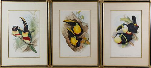 THREE HAND COLORED LITHOGRAPHS OF