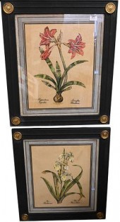 THREE HAND PAINTED BOTANICALS